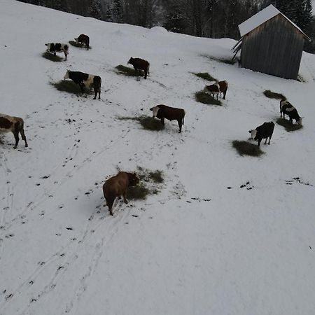 Casa Agroturistica Tarancuta Din Vatra Moldovitei Hotell Eksteriør bilde